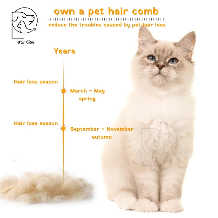 (❤️EARLY SUMMER HOT SALE- 49% OFF) 🐈 Pumpkin Pet Comb & BUY 2 GET EXTRA 10% OFF