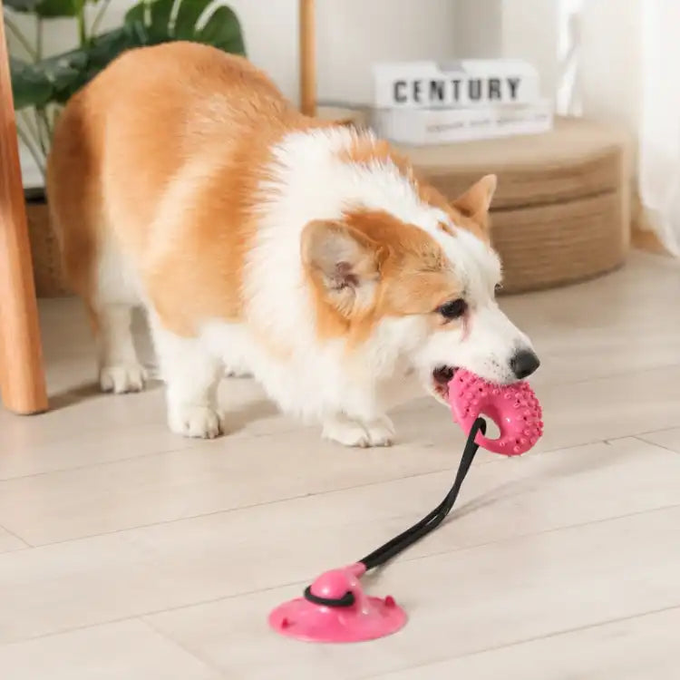 Dog Toys Suction Cup