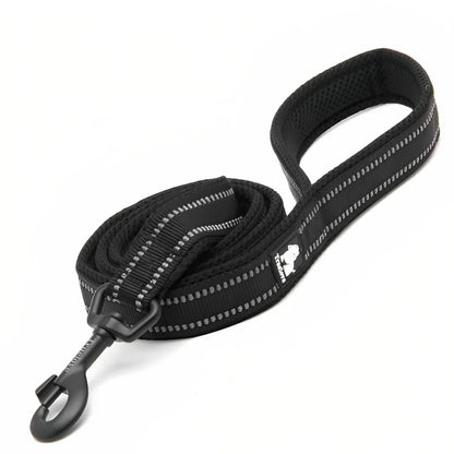 Strong Nylon Dog Leash