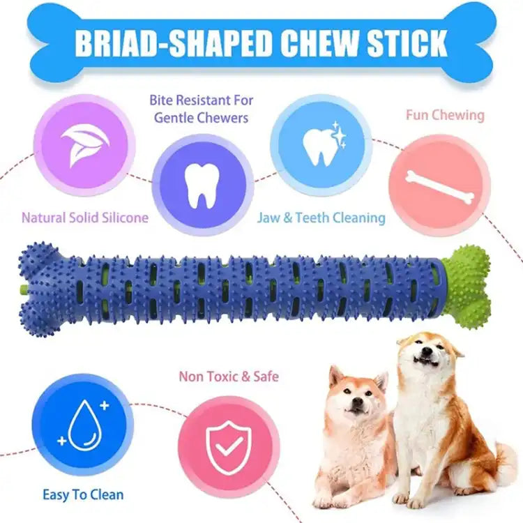 Dog Tooth Cleaning