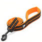 Strong Nylon Dog Leash