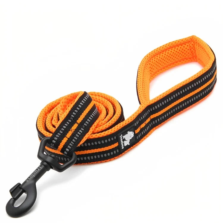 Strong Nylon Dog Leash