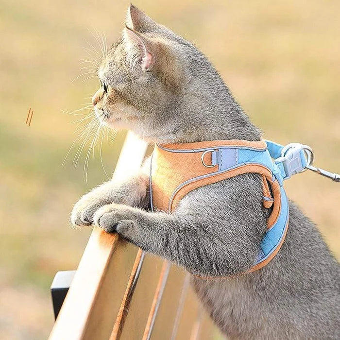 ⚡⚡ Promotion 48% OFF - Luminous Cat Vest Harness and Leash Set(⚡⚡BUY 3 FREE SHIPPING)