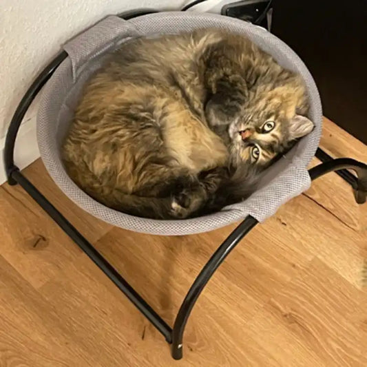 Cat Dog Bed