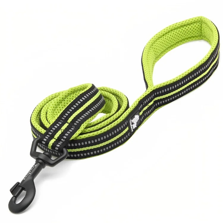 Strong Nylon Dog Leash