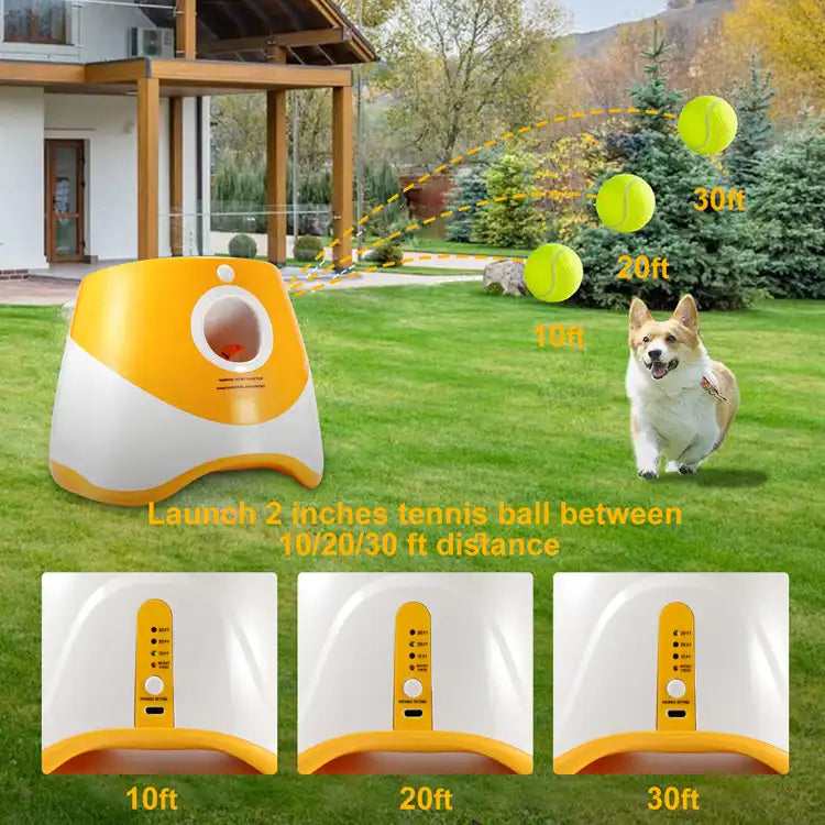 Tennis Launcher Pet Ball
