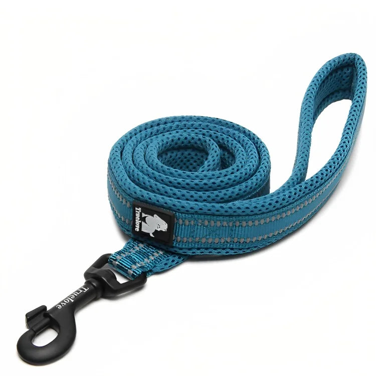 Strong Nylon Dog Leash