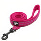 Strong Nylon Dog Leash