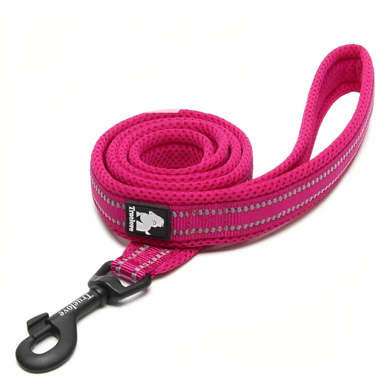 Strong Nylon Dog Leash