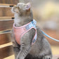 ⚡⚡ Promotion 48% OFF - Luminous Cat Vest Harness and Leash Set(⚡⚡BUY 3 FREE SHIPPING)