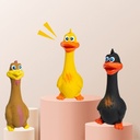 3-Pack Squeaky Latex/TPR Chicken Dog Toys — Interactive Chew & Fetch