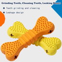 Dog Toothbrush Chew Sticks — Teeth Cleaning Chew Toys for Small/Medium/Large Dogs, Random Colors