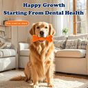 Dog Toothbrush Chew Sticks — Teeth Cleaning Chew Toys for Small/Medium/Large Dogs, Random Colors