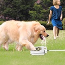 Step-On Outdoor Dog Water Fountain with Paw Pedal, 1m Hose & 2-Way Splitter — Iron + Plastic, White (Medium/Large Dogs)