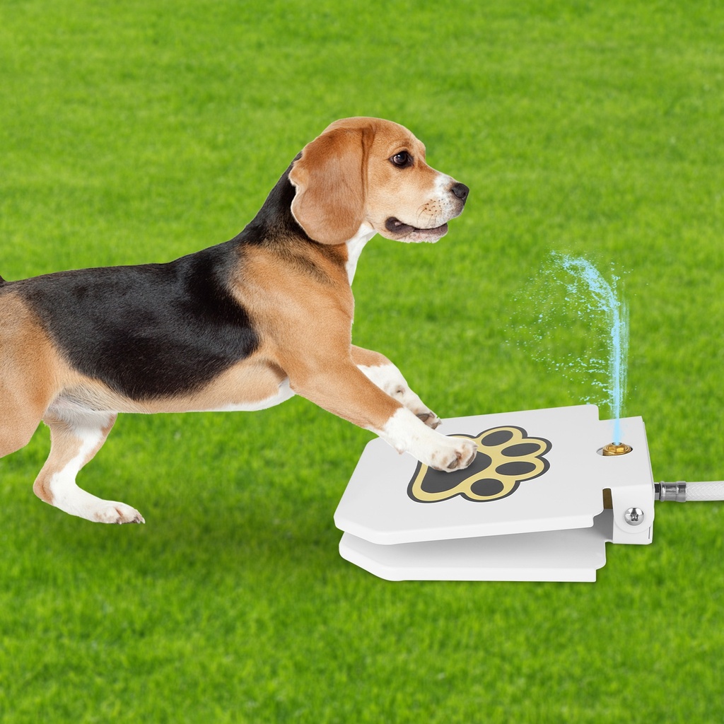 Step-On Outdoor Dog Water Fountain with Paw Pedal, 1m Hose & 2-Way Splitter — Iron + Plastic, White (Medium/Large Dogs)