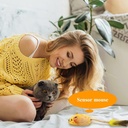 USB Rechargeable LED Moving Cat Mouse Toy with Chirping Sounds & Feather Tail — Automatic Interactive Toy for Indoor Cats