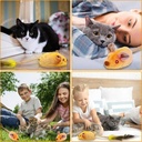 USB Rechargeable LED Moving Cat Mouse Toy with Chirping Sounds & Feather Tail — Automatic Interactive Toy for Indoor Cats