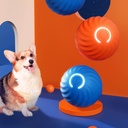 Dog Chew & Jump Ball — Thick Rubber Core with Plastic Shell, USB-Powered Interactive Chase Toy