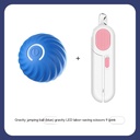 Dog Chew & Jump Ball — Thick Rubber Core with Plastic Shell, USB-Powered Interactive Chase Toy