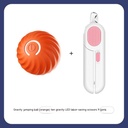 Dog Chew & Jump Ball — Thick Rubber Core with Plastic Shell, USB-Powered Interactive Chase Toy