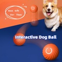 Dog Chew & Jump Ball — Thick Rubber Core with Plastic Shell, USB-Powered Interactive Chase Toy