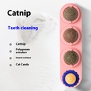 Catnip Ball Self-Hi Cat Toy — Plastic Cat Toy with Catnip Pack, Multiple Colors & Bag/Box Variants — SKU CJYD2159882