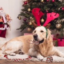 Set of 5 Christmas Rope Dog Chew Toys — Polyester/Cotton Interactive Puppy Toys for Small & Medium Dogs