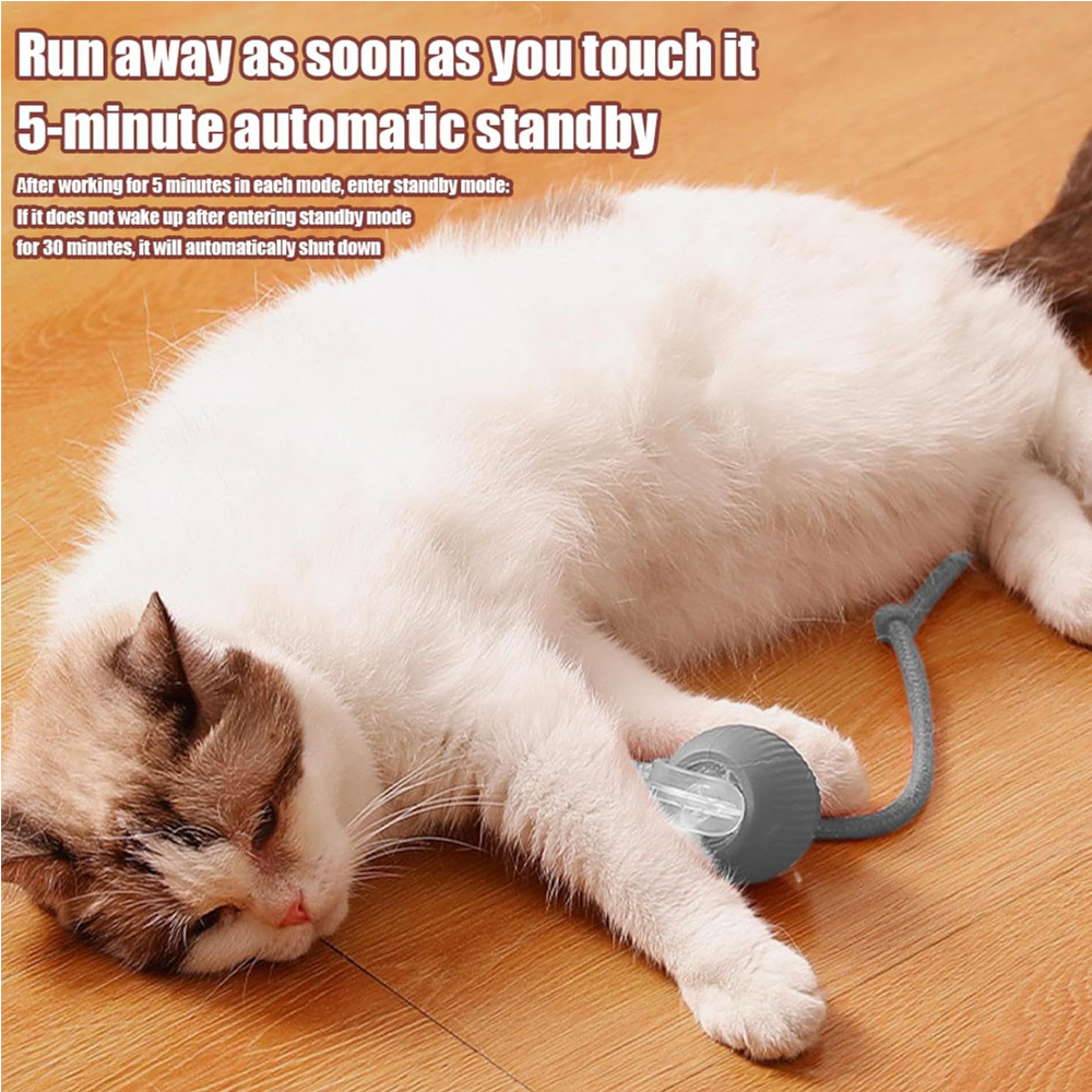 Interactive Rolling Cat Ball — Motion-Activated Rechargeable Toy with LED Lights, 2 Play Modes, Silicone/ABS, IP54