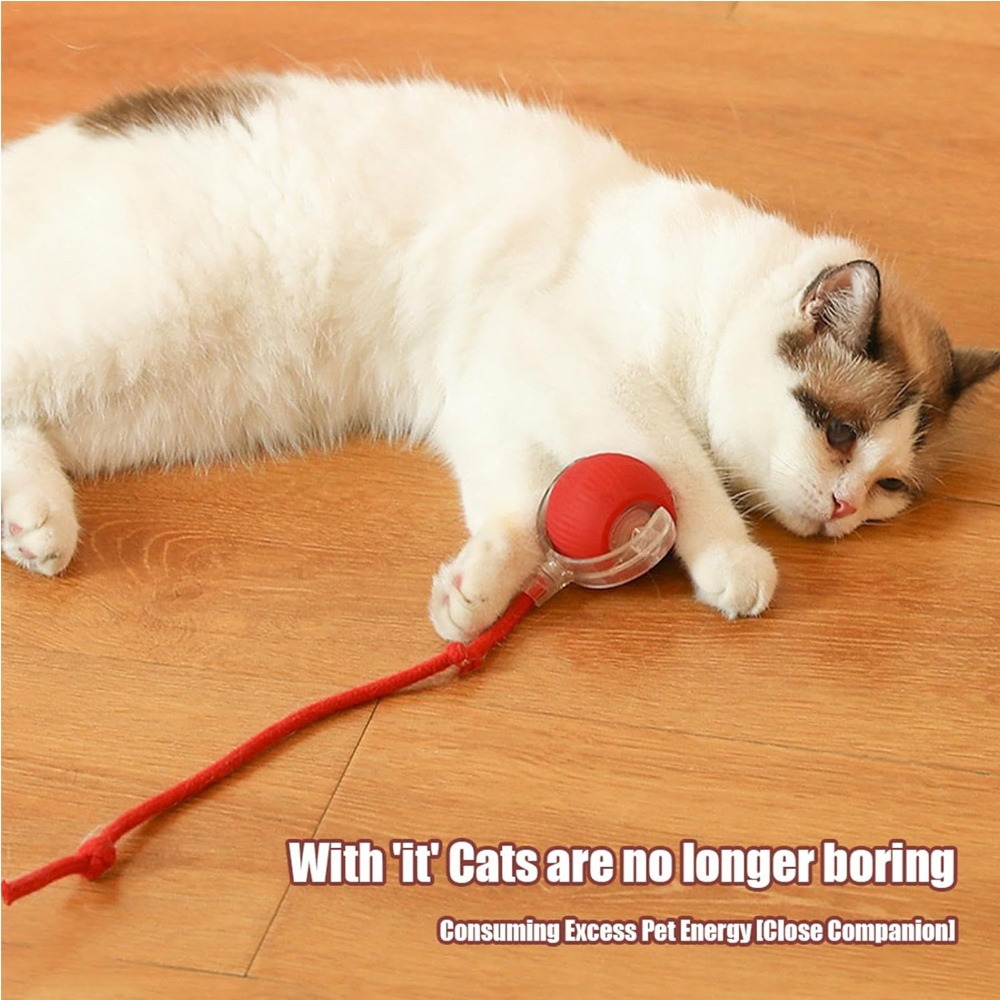 Interactive Rolling Cat Ball — Motion-Activated Rechargeable Toy with LED Lights, 2 Play Modes, Silicone/ABS, IP54