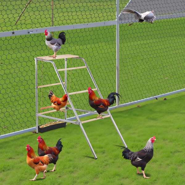 103x50x100cm Outdoor Chicken Perch