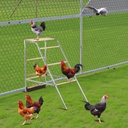 103x50x100cm Outdoor Chicken Perch