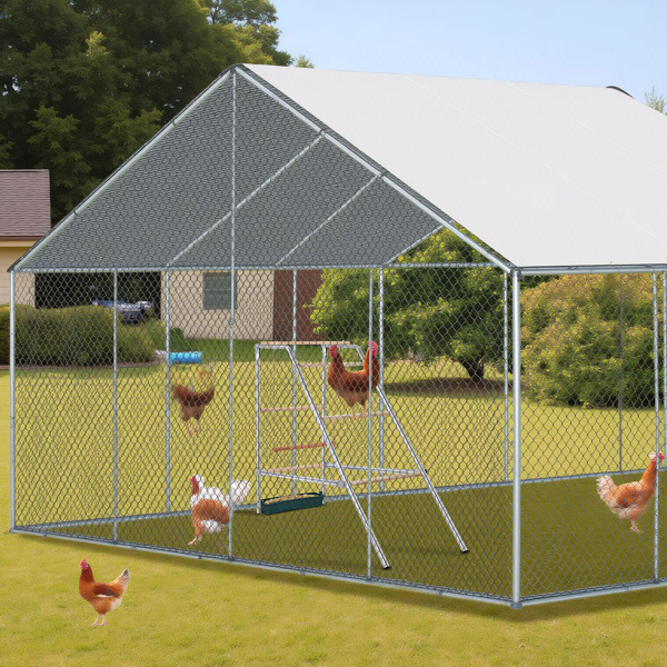 103x50x100cm Outdoor Chicken Perch