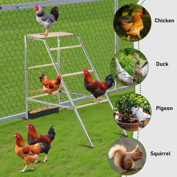 103x50x100cm Outdoor Chicken Perch