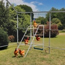 103x50x100cm Outdoor Chicken Perch