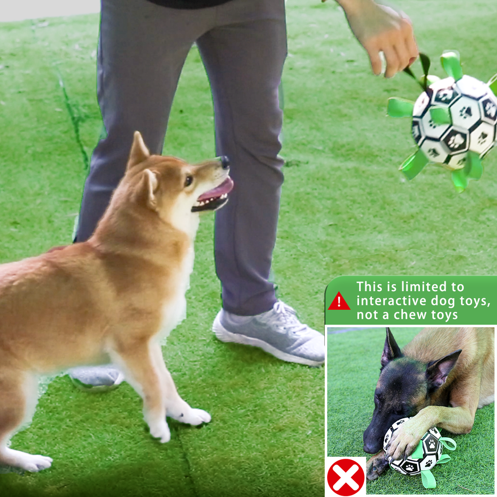 Interactive Dog Football Toy Soccer Ball Inflated Training Toy For Dogs Outdoor Border Collie Balls For Large Dogs Pet Supplies