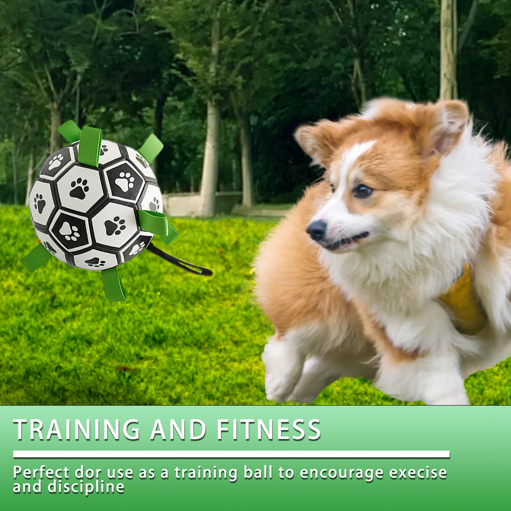 Interactive Dog Football Toy Soccer Ball Inflated Training Toy For Dogs Outdoor Border Collie Balls For Large Dogs Pet Supplies