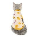Cat Clothes Autumn And Winter Clothing