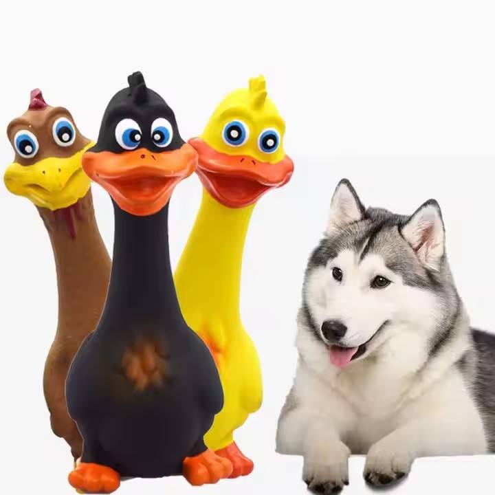 PETBOXIE - Squeaky Chicken Dog Toys 3-Pack, TPR and Latex, Built-In Squeaker for Fetch and Interactive Play