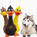 PETBOXIE - Squeaky Chicken Dog Toys 3-Pack, TPR and Latex, Built-In Squeaker for Fetch and Interactive Play